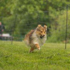 img_4587_20230516_1049503388