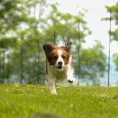 img_4598_20230516_1630103152
