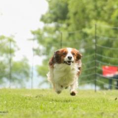 img_4600_20230516_1843545027