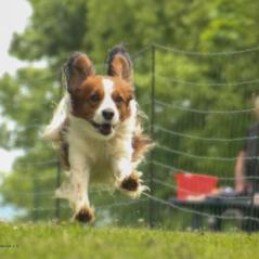 img_4612_20230516_1132075487
