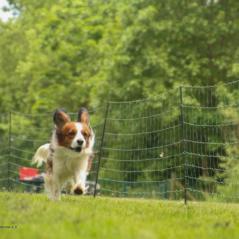 img_4613_20230516_1850550148