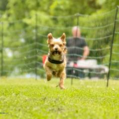 img_4632_20230516_1944613138