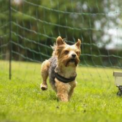 img_4636_20230516_1935022345