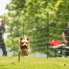 img_4643_20230516_1421561410