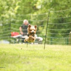 img_4645_20230516_1399993450