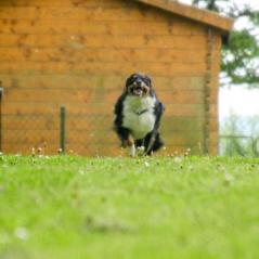 img_4656_20230516_1084812881