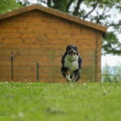 img_4657_20230516_1594172497