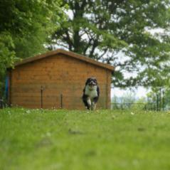 img_4658_20230516_1256187235
