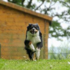 img_4659_20230516_1924848241