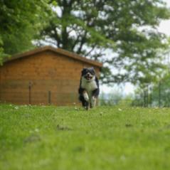 img_4660_20230516_1789047781