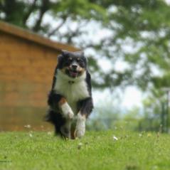 img_4661_20230516_1492740028