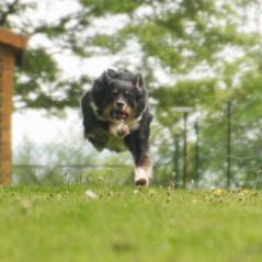 img_4668_20230516_1724976209