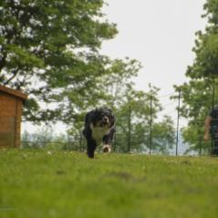 img_4670_20230516_1417323082