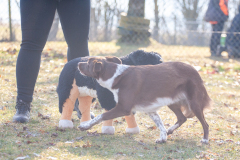 Trainingsimpressionen (02.02.2025)