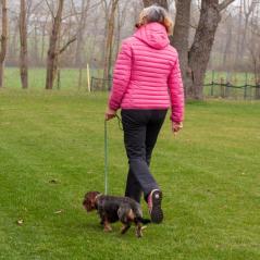 IMG_5655