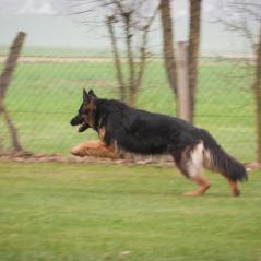 IMG_5830