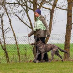 IMG_5885