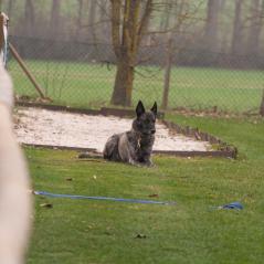 IMG_5901