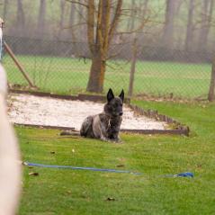 IMG_5902