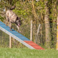 IMG_6780