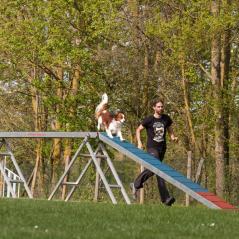 IMG_6820