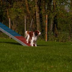IMG_6853