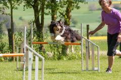 Parcourstraining Agility (01.05.2025)
