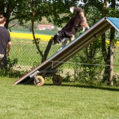 IMG_7075