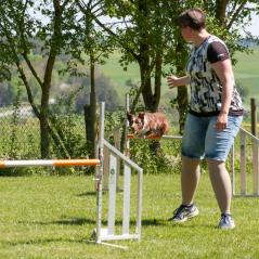 IMG_7078