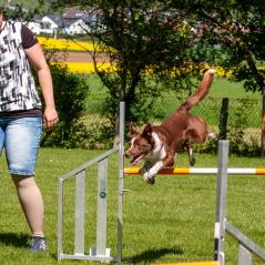 IMG_7090-2