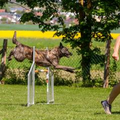 IMG_7130