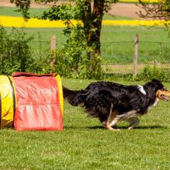 IMG_7158