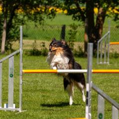 IMG_7174