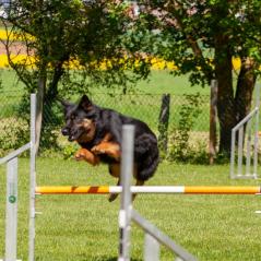 IMG_7197