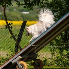 IMG_7241