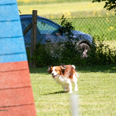 IMG_7430