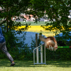 IMG_7510