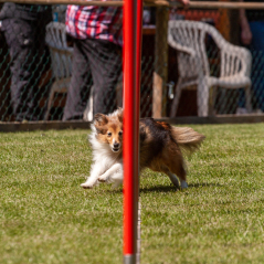 IMG_7682
