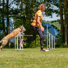 IMG_7782
