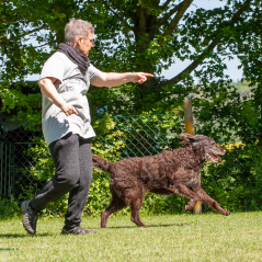 IMG_7814