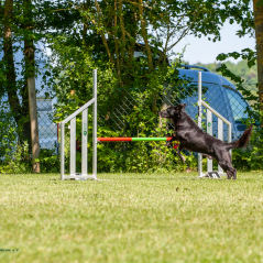 IMG_7906