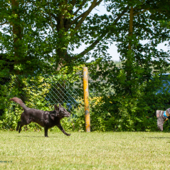 IMG_7909