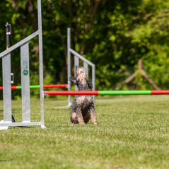 IMG_7974