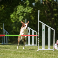 IMG_8227
