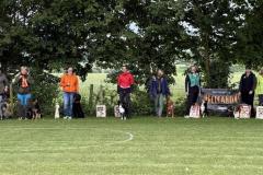 Obedience Prüfung (07.06.2025)