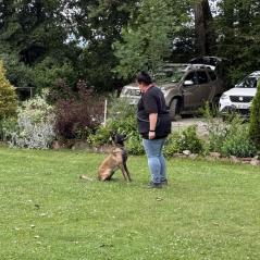 20250607_084355176_iOS