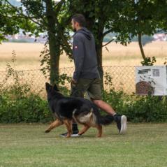 IMG_9678