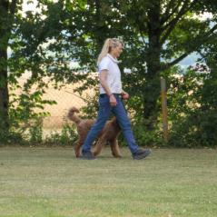 IMG_9703