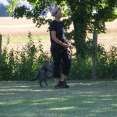 IMG_9799
