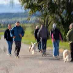 1fc48bbd-dd3f-47c9-ba16-028141c2e76d